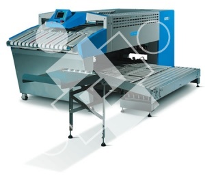Butterfly Tematic Pro